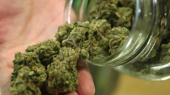 L’Escalier : un employé d’hôtel arrêté pour trafic de drogue