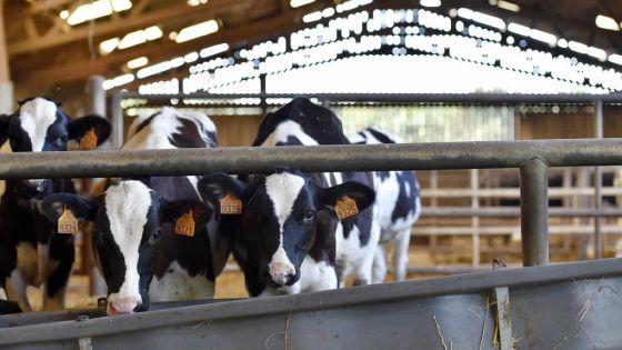 Ce que réserve 2018 aux PME et aux coopératives