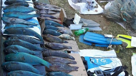 Pêche sous-marine : cinq personnes recherchées