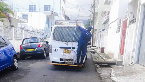 Port-Louis : la MSAW lance une campagne de ramassage de chiens errants 