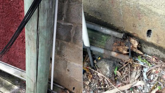 Ces pylônes en bois qui tombent l’un après l’autre