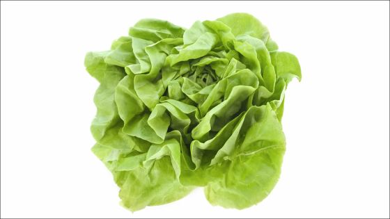 Consommation : le prix de la laitue flambe 