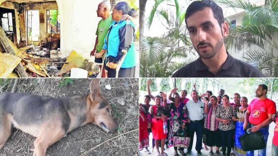 Rétrospective : ces cas qui ont retenu votre attention