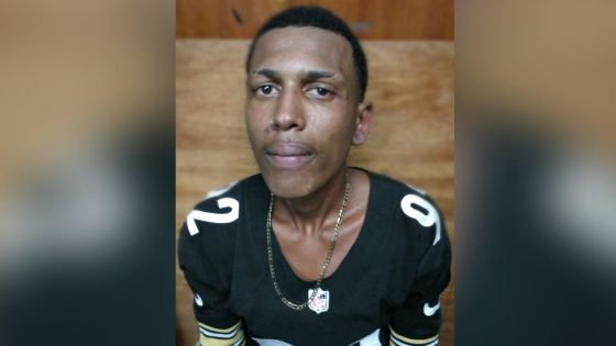 Impliqué dans une série de vol avec violence, un récidiviste de 19 ans écroué
