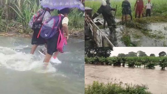 La Disaster Response Unit désobstrue un pont à Riche-Mare 