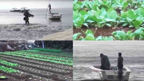 Mauvais temps : les pêcheurs et planteurs dans l’impasse