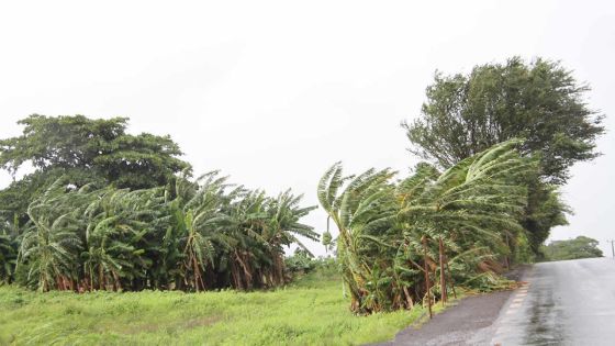 Météo : des averses et des rafales de 80 km/h attendues dans certaines régions