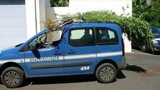 Rs 51 M de gandia saisis à La Réunion : un fournisseur arrêté à son retour de Maurice avec Rs 1 million en euros