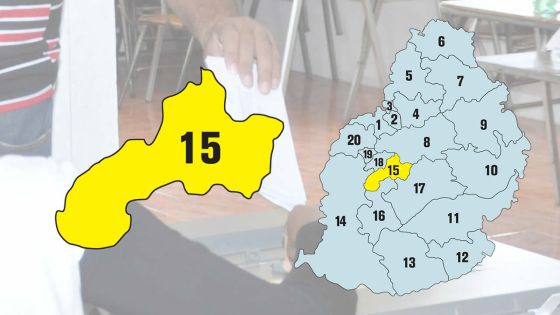 Législatives 2019 - Circonscription no 15 : tout ce qu'il faut savoir en temps réel