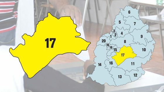 Législatives 2019 - Circonscription no 17 : tout ce qu'il faut savoir en temps réel