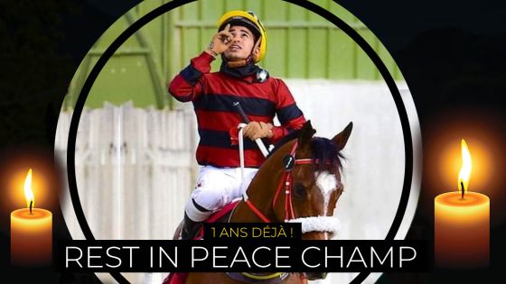 1 an déjà ! : Nooresh ou le champion qui galope parmi les anges