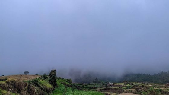 Météo : les prévisions pour ce dimanche 