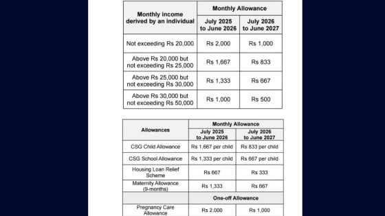 Budget 2025-26 – Allocations CSG et autres aides sociales : ce qu’il faut savoir