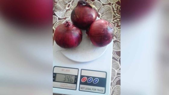 Roches-Brunes : un habitant porte plainte contre un marchand de légumes