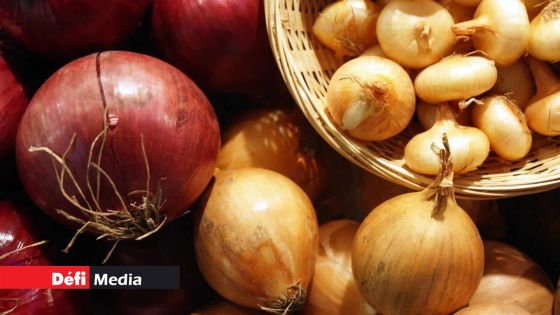  Oignons : 125 tonnes additionnelles mises sur le marché