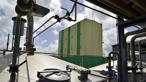 Covid-19 : un employé d’Omnicane positif, la distillerie de bioéthanol à l’arrêt 