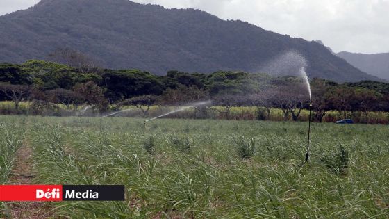 Organisme gouvernemental : Satyam Jaggeshar, nouveau General Manager de l’Irrigation Authority 