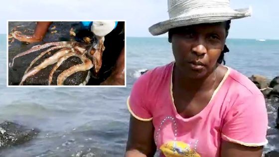 Marie-Claire Edouard Rabais :  « Nou marse ourit se Moris, la nou biznes bloke»