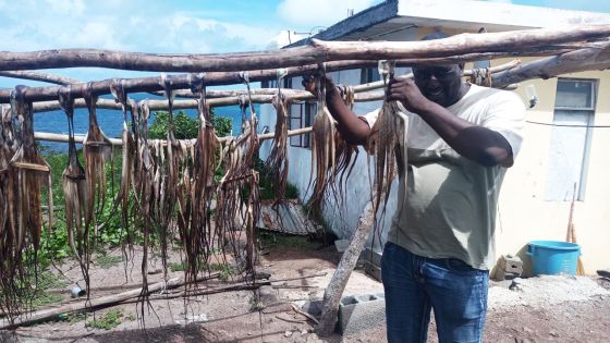 Rencontre : Joseph Ersley Cheverly fait des «ourites secs» son gagne-pain