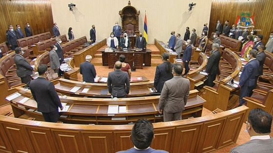 Parlement : le MV Wakashio au centre de la PNQ