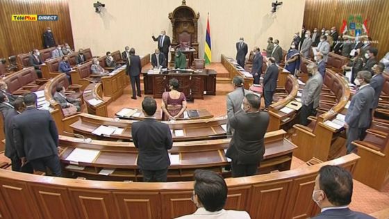 Au Cœur de l’Info : pleins feux sur la démocratie parlementaire