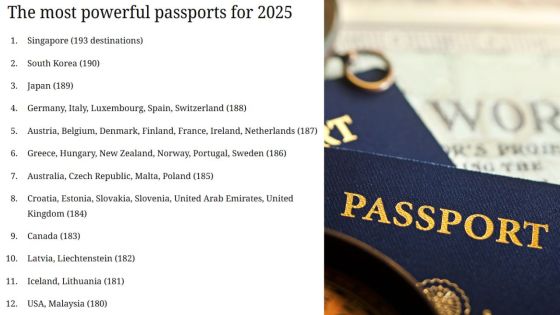 Top 12 des passeports les plus puissants du monde
