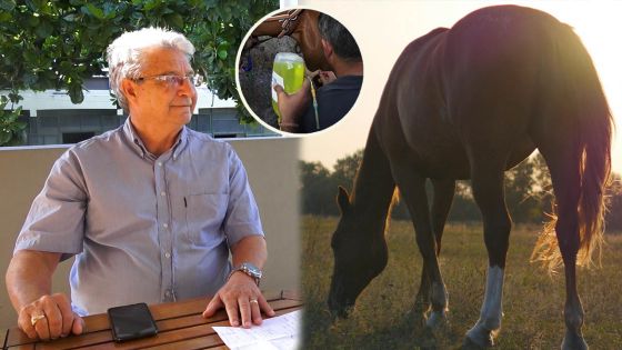 Hippisme - L'importance d'une bonne alimentation chez le cheval