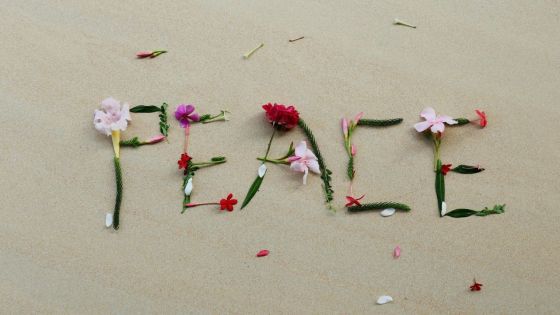 [Blog] Peace and peaceful living on Planet Earth