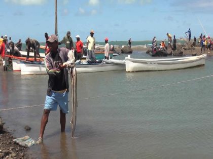 Pêche à l’ourite : le modèle de Rodrigues fait école 