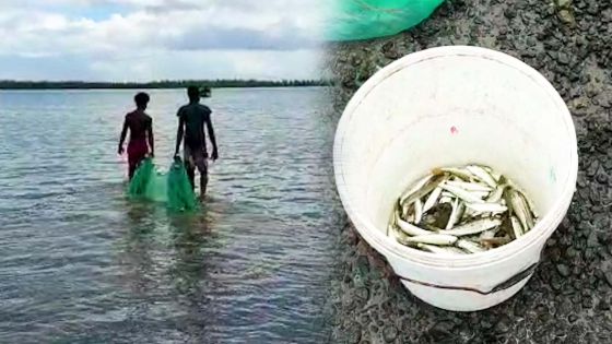 La Gaulette : des pêcheurs continuent à travailler