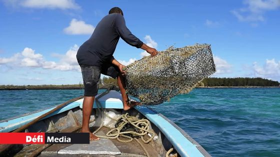 Wakashio : les activités de pêche dans les lagons du Sud-Est reprennent sous certaines conditions ce lundi 
