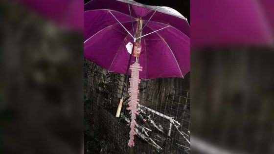 Vu sur Facebook : Adieu Calvinia, bienvenue à  2020 !