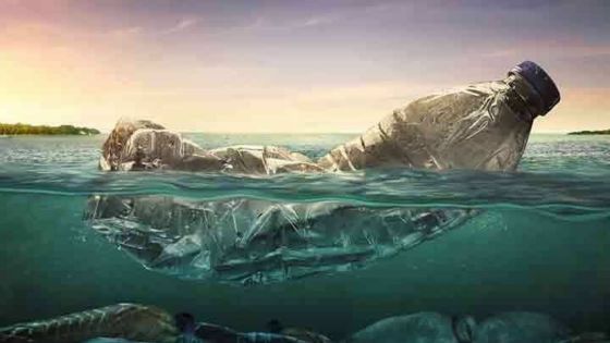 Protection des écosystèmes - IslandPlas : sauver 7 îles africaines de la pollution plastique