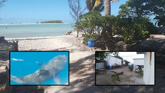 Saint-Brandon : l’île Raphaël, des pêcheurs, des garde-côtes et des requins bouledogues