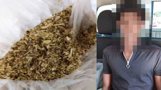 Grande Rivière Nord-Ouest : un jeune arrêté avec des doses de drogue synthétique