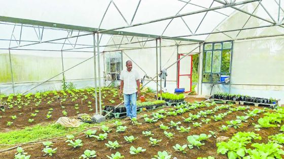 Du droit à la terre : l’étonnant parcours de Celva Runghen