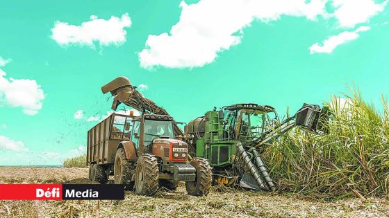 Panne à la centrale thermique d’Omnicane : la saison de coupe de la canne pourrait se prolonger jusqu’en janvier 2026