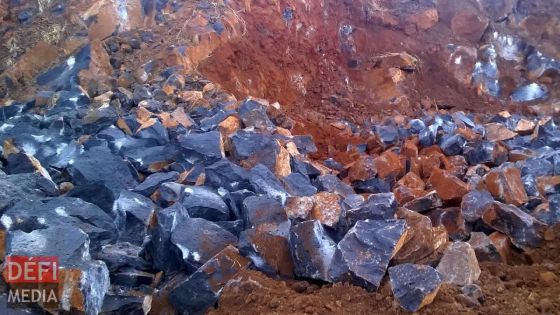 Il rapporte le vol de Rs 6 millions de pierres sur son terrain