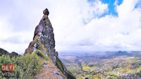Pieter Both : 420 plants de cannabis déracinés