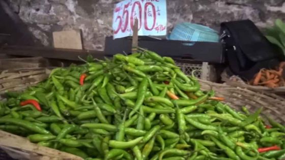 Les piments sous la menace d’une maladie 