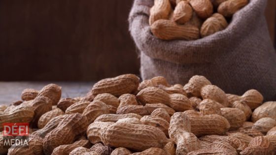 Verdun : 150 kilos de pistaches volés dans une plantation