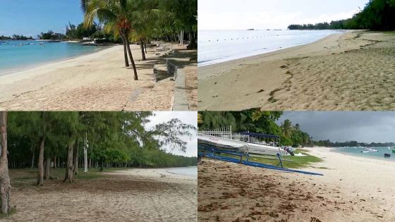 Covid-19 et confinement total : quand la nature respire