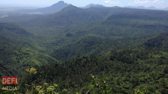 Ossements retrouvés à Plaine-Champagne : la victime identifiée