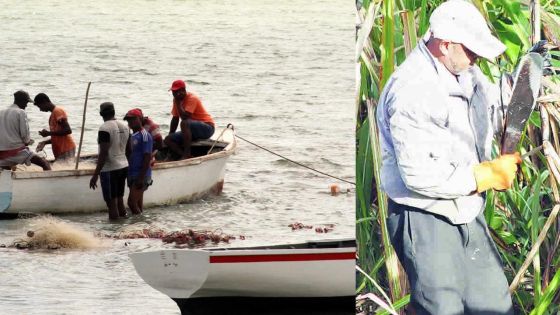 Budget : des pêcheurs et petits planteurs se mobilisent pour dénoncer le « laxisme » du Premier ministre 
