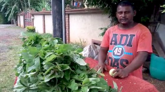 Confinement oblige : Pretamcoomar, le maçon reconverti en marchand de légumes