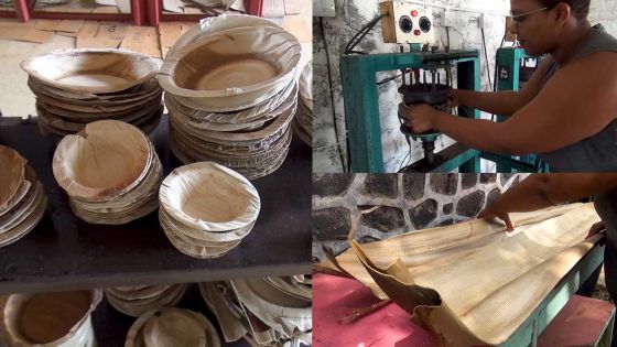 [Success Story] Franceska : ses assiettes écolos sont son gagne-pain