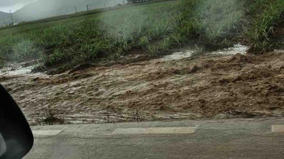 Avis de fortes pluies à Maurice : quelques conseils pratiques