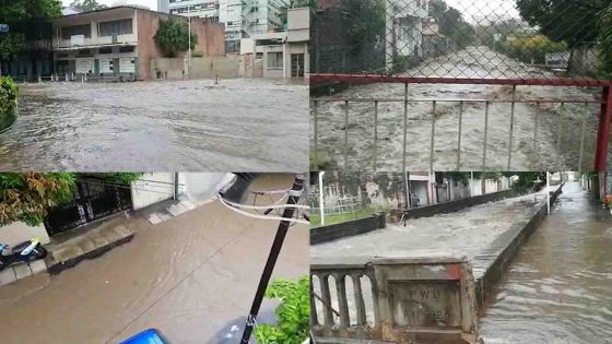 Avis de fortes pluies – des rivières et cours d’eau en crue 