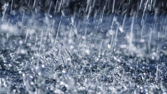 Pluviométrie en baisse : le changement climatique pointé du doigt 