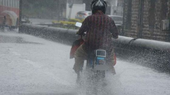 Pluviométrie : le cumul des pluies en dessous de ce qui avait été prévu par la météo